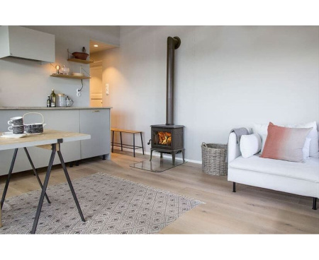 Печь-камин Jotul (Йотул) ECO LL BP