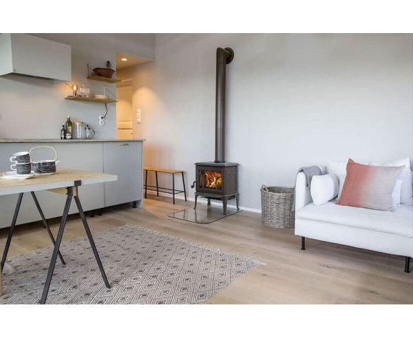 Печь-камин Jotul (Йотул) ECO LL BP