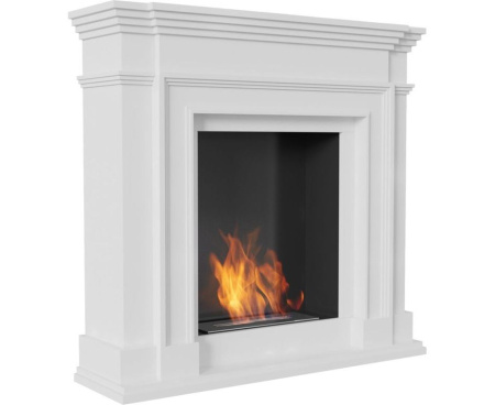 Биокамин legions