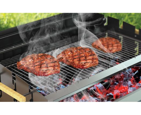 Угольный гриль Grillux Orion 80