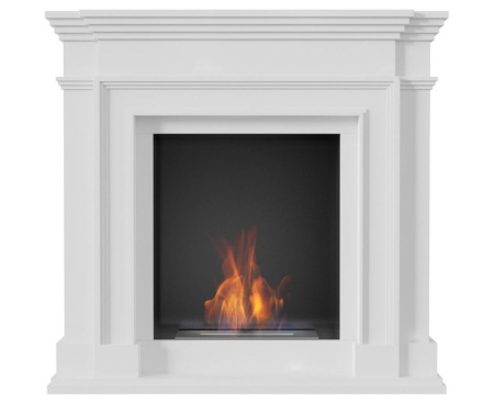 Биокамин legions